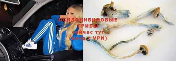 скорость mdpv Липки