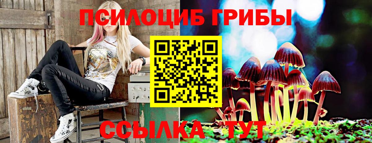 Стерлитамак  Псилоцибиновые грибы мухоморы  Вход с VPN  Галлюциногенные грибы прущие грибы 